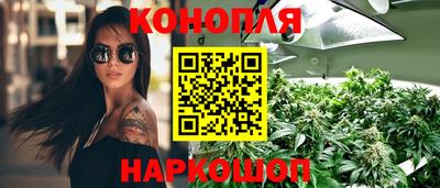 apvp Гатчина
