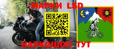 apvp Гатчина
