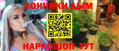 apvp Гатчина