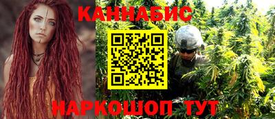 apvp Гатчина