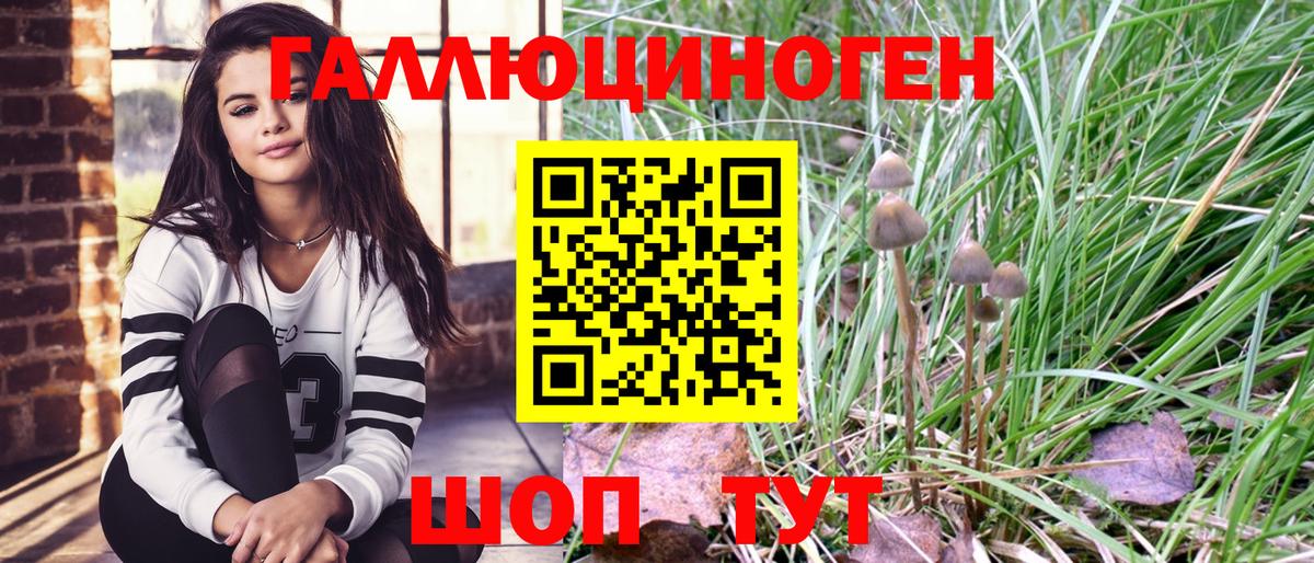 Галлюциногенные грибы Psilocybe  Вход с VPN  Георгиевск 